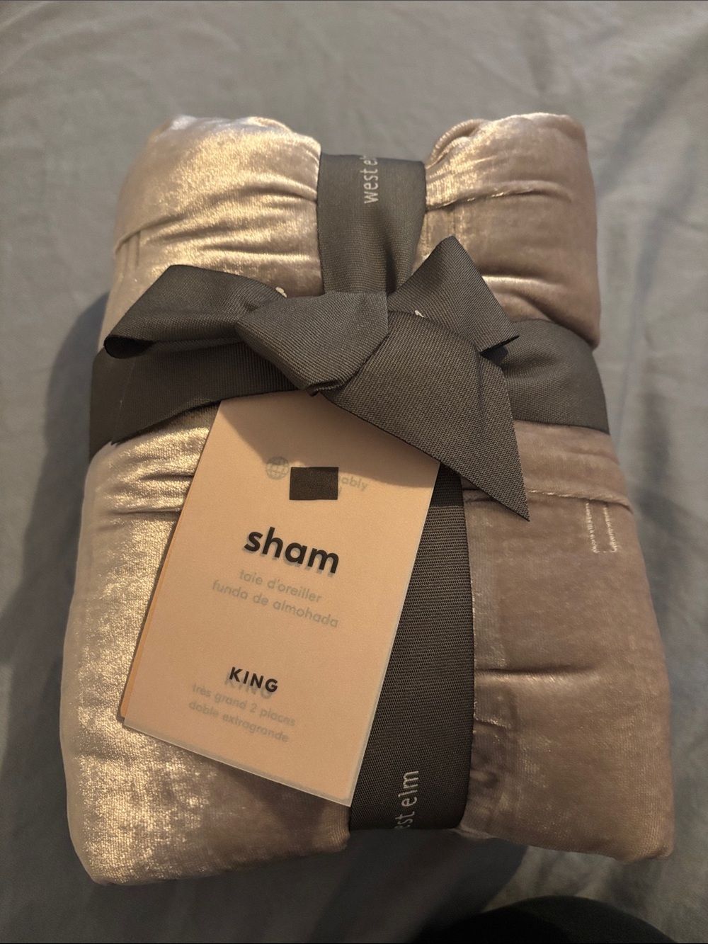 West Elm Velvet King Sham
